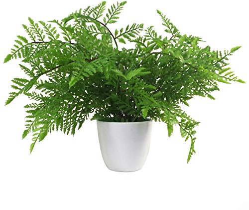 Leaf Artificial Fern Plant with Pot, 30cm