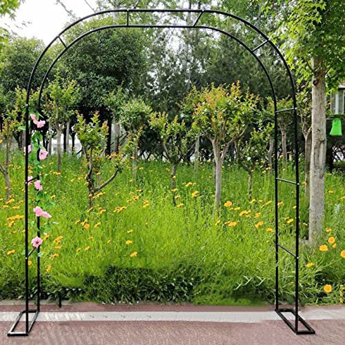 Treillis d'arche de jardin en métal noir pour plantes grimpantes, arche décorative d'extérieur en acier galvanisé 350,5 x 218,4 cm