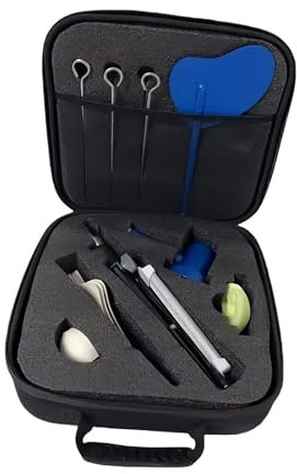1-24V/50W High-End Portatile Micro turbina eolica per Campeggio all'aperto, Portatile Senza generatore di Nucleo di Ferro per brezza per casa, Fattoria, Camper, Barche (Blu)