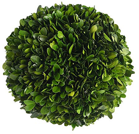 Real Boxwood Decorative Ball Large 10 inches Great for Wedding Home Decoration, Vase Bowl Filler Realistic Full Green Plant, Indoor Decor(Boxwood)
