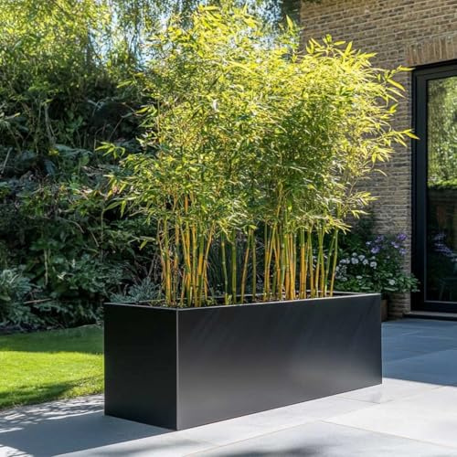 Tulipy 1.2m/1m/75cm/70cm Zinc Galvanised Trough Planter | No Assembly Needed | Lightweight (Matte Black, L100cm x W40cm x H40cm)