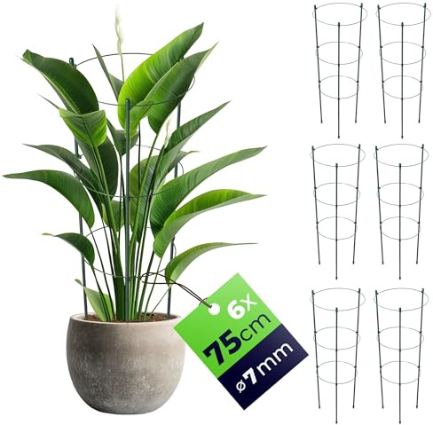 KADAX Lot de 6 tuteurs pour plantes grimpantes en acier - 75 cm - Support pour plantes grimpantes dans le jardin ou pot de fleurs - Tour pour tomates