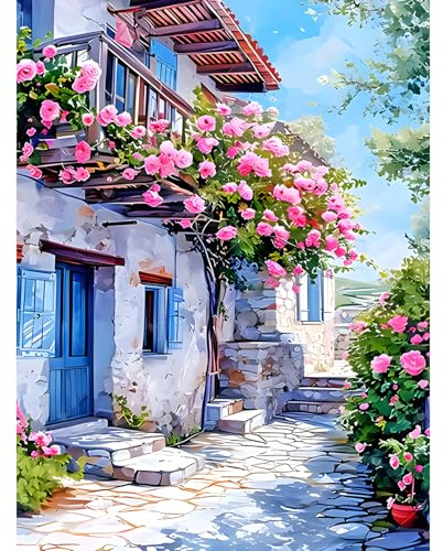 DPIDEA Diamond Painting Erwachsene, 5D Diamond Painting Bilder | Diamant Painting Bilder 30x40 cm, Runde Steine für Zuhause Dekor