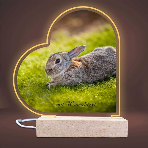 INDIGOS UG - LED Lampe personalisiert - Hase - Herz links - personalisierte Lampe - mit Foto & Wunschtext - Geschenk - Acrylglas 14x14 cm - optionale Lampe warmweiss
