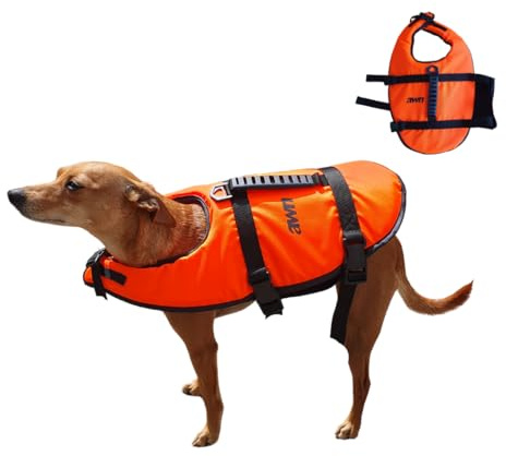 awn PawSaver Rettungsweste für Hunde, Schwimmweste in M, L, XL, mit Rettungsgriff, Reflektoren & Leinenöse, verstellbar, sicher & bequem, Orange-Schwarz, für Boot, SUP & Strand (L)