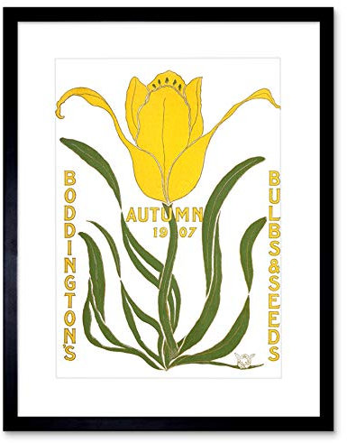 Boddingtons Bulbs Seeds Autumn 1907 Art Print Framed Poster Wall Decor 12x16 inch Herbst Wand Deko