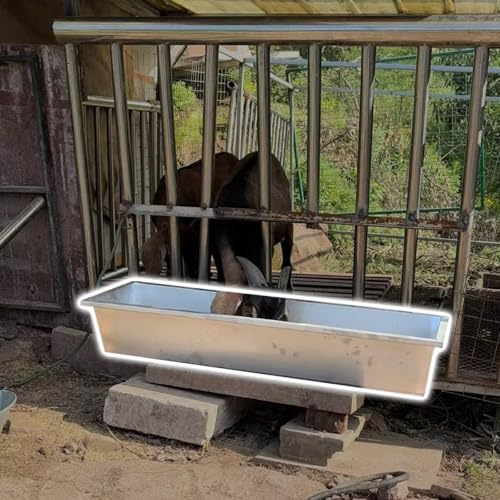 Futtertrog für Tiere, aus Edelstahl, langlebige Futterspender und Tränken für Ziegen, Schweine, Alpakas und Kälber, ideal für den Außenbereich