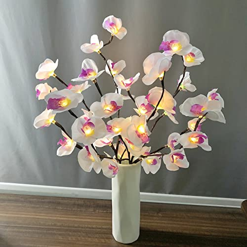 Riaxuebiy 3er Pack 20LED Zweig Lichter Künstliche Blumen Phalaenopsis Orchidee Zweig Lichter Flexibles Baumlicht für Home Vase Tisch Weihnachtshochzeit (Phalaenopsis, 76cm-3pcs)