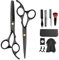 6.5 Pouces Ciseaux de Coiffure - Professionnels en Acier Inoxydable Ensemble de 11 Pièces avec Ciseaux à Effiler, Peignes, Cape et Accessoires pour Salon ou Maison