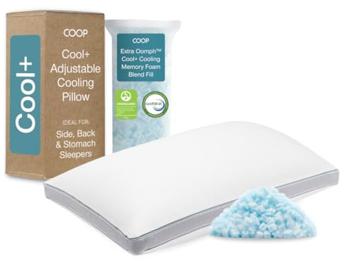 Coop Home Goods Eden Plus Pillow King