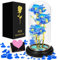GUHAOOL Rose Eternelle sous Cloche, La Belle et la Bête Rose, Galaxy Rose avec LED Lumières, Faux Rose Abat Jour en Verre LED - Mariage Maison Décor,Cadeau pour Femme, Mere, Mamie, Petite Amie
