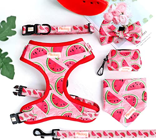 Nylon-Hundehalsbandgeschirr, Leine, Kotbeutel, Bandana-Set, Bedruckte Haustierhalsbänder mit Fliege für kleine, mittelgroße Hunde, Haustiere, Weste, Führstrick