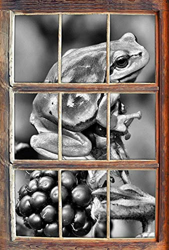 UYEDSR Wall Sticker Monocrome Little Frog on Blackberry Bushes Window in 3D Look Wall or Door Sticker Wall Sticker Wall Decal Wall Decoration 62cmx42cm