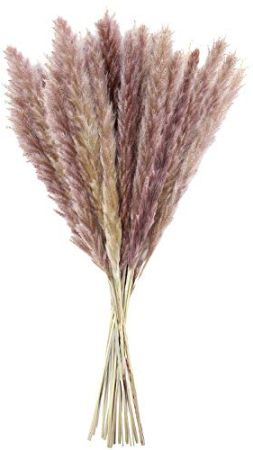 LEBEXY Pampasgras Getrocknet Trockenblumen Deko 15 Stück , Vasen Getrocknete Blumen 44cm, Blumenstrauß Boho Deko für Inneneinrichtung Schlafzimmer Wohnzimmer Balkon Badezimmer