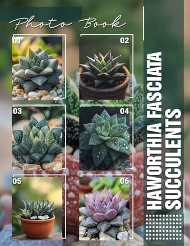 Haworthia Fasciata Succulents Photo Book: 40 Stunning Images Of Haworthia Plants For Gardening Enthusiasts, Home Decor