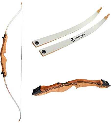 ZSHJG Jugend Takedown Recurve Bögen und Pfeil Set 12-16lbs Jagd Traditionell Recurve Bögen Anfänger Rechtshänder Bogen Schießübungen Longbogen für Bogensport Zielspiel (48 Zoll, 12lbs)