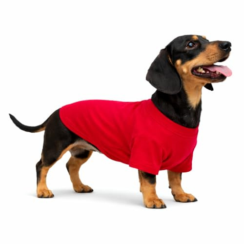 Lovelonglong Hund T-Shirt, 100% Baumwolle, Haustier T-Shirt, Hund-Unterhemd T-Shirts Für Dackel, Corgi Red D-S