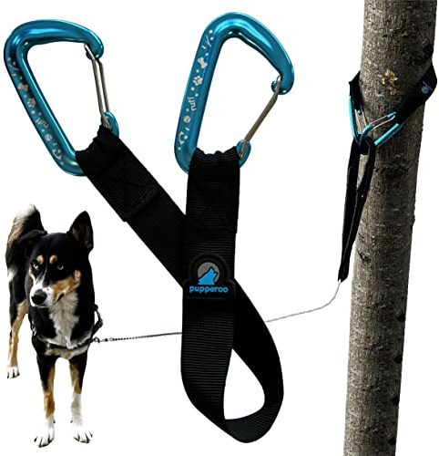 pupperoo Outdoor Adventure Dog Leash Tether (Blue)