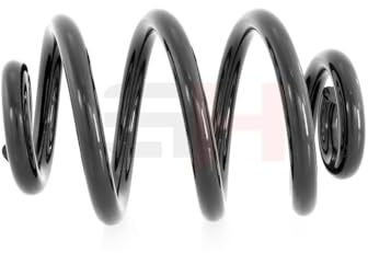 2xx GH FEDER FAHRWERKSFEDER HINTEN, HINTEN RECHTS, HINTEN LINKS