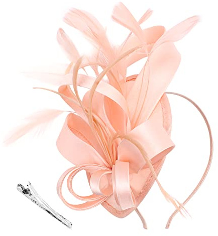 DRESHOW Fascinator Hüte für Damen Pillbox Hut mit Schleier Stirnband und Einer Gegabelten Clip Tea Party Kopfbedeckung