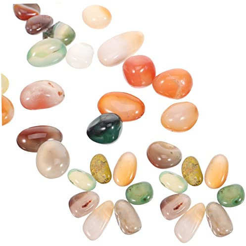 Sosoport Lot De 1 Roches Daquarium En Galets Blancs Pour Plantes Dintérieur Aménagement Paysager Pierres Décoratives Pots De Fleurs