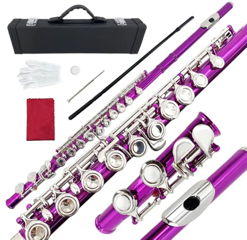 16 Key C Flute, Silver, Wood, Nickel-Silver, Closed Hole, Beginner to Professional, Includes Carry Bag, Gloves, Cleaning Rod, Tuning Rod, Gift Box (fen)