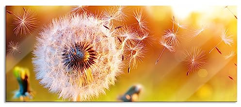 Pixxprint Glasbild Panorama, Wandbild aus Echtglas, Nahaufnahme Pusteblume Sonnenuntergang, 120x50 cm, inkl. Aufhängung und Abstandshalter