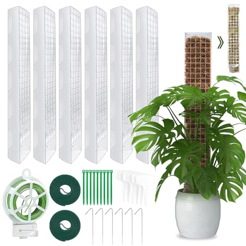 Moosstab Rankhilfe 6 Stück 61cm, Rankhilfe Zimmerpflanzen, Rankstab Monstera, Mit 6 Erdspieße, 2 Klettbändern, 30m Garten Drehbinder, 10 Pflanzenetiketten und 10 Kabelbinder.
