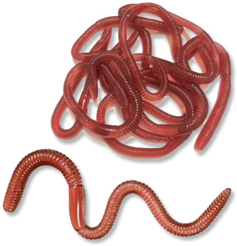 OUDQFCJ 10 Pièces Ver de Terre Artificiel, Fausse Réaliste Ver de Terre, Prank vers de Terre, Farce et Attrape Enfant, Trucs de Farce, Accessoires pour Poisson d'Avril Farces d'halloween