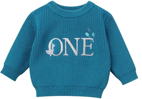 OBEEII Maglione lavorato a maglia con fragola, leone e cigno ricamato, caldo, per il primo compleanno, regalo di compleanno, Cigno Blu, 12 mesi