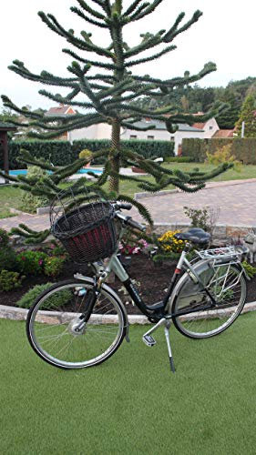 Hundefahrradkorb für Fahradlenker aus Weide in Schwarz mit Metallgitter und Kissen Verschiedene Größen Lenkrad Weidenkorb Hundekorb Lenkerkorb Einkaufskorb Natur (XXL ohne Kissen)