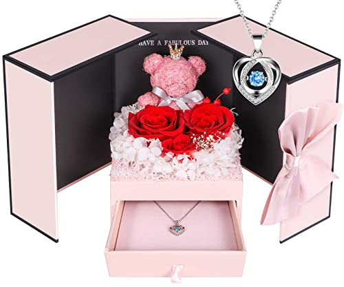 ADDWel Ewige Rose mit Damen Herz Halskette Silber 925, Skette mit Rote Infinity Rose Geschenke Box für Freundin, Geschenke für Frauen Geburtstag, Weihnachtstag, Valentinstag, Muttertag