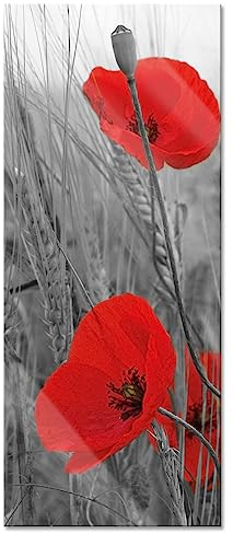 Pixxprint Glasbild Panorama, Wandbild aus Echtglas, einzelne Mohnblumen im Getreidefeld, 100x40 cm, inkl. Aufhängung und Abstandshalter