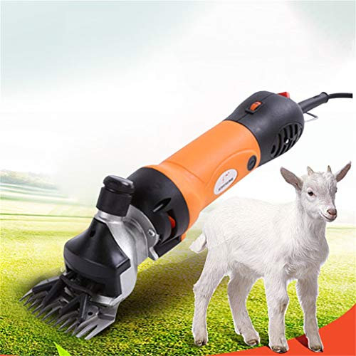 ZZQ-Le rasage 690W Cheveux Tondeuse Mouton Animal pour Électrique Professionnelle Cisaillement Animal Tondeuse Cisaille À Mouton Tondeuse Moutons 6 Vitesse Réglable avec Valise