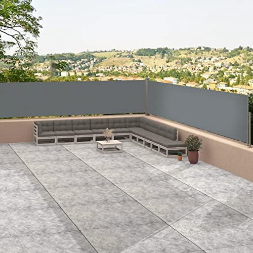 Ailgely Doppel Seitenmarkise 117 x 1200 cm, Alu-Ausziehbar Seitenmarkise, Sichtschutz für Balkon und Garten, Senkrechtmarkise außen Blickdicht für Balkon, Terrasse, Garte Anthrazit