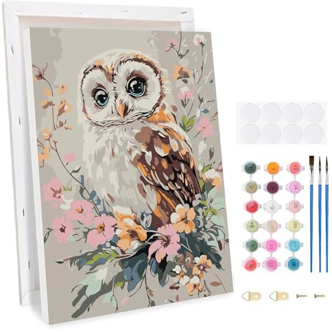 TLIOBLO Chouette Peinture par Numéros avec Cadre pour Adulte, DIY Animaux Peinture pour Adultes Enfants Débutants Facile sur Toile avec Peintures et Pinceaux, Décor Maison Cadeaux 20x30cm