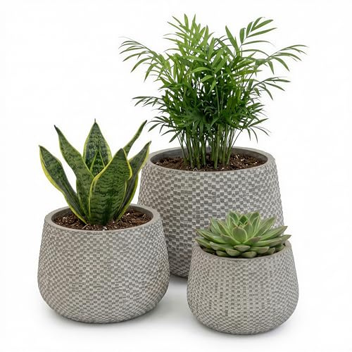 Blumentopf Set 3er Grau – Pflanzkübel für Innen & Außen – Moderner Pflanztopf mit Entwässerungsloch – Robuste, bruchsichere Pflanzgefäße in Steinoptik – Kübel groß mittel klein für Balkon Terrasse