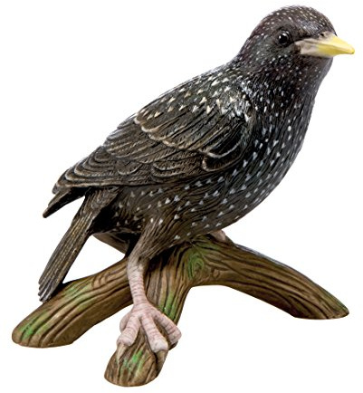 Goebel Vogel des Jahres 2018 & Star (groß)