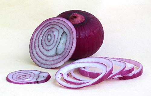 Graines Oignons rouge foncé de Brunswick - sachet de 750 graines - Allium/cepa/Alliaceae - Graines de style