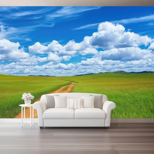 Nature 3D Photo Murals Greenery Grassland Path 250 X 175 Cm Non-Woven Wallpaper Wall Art Photo Wallpaper Wall Mural Home Bedroom Living Room Poster Decoration