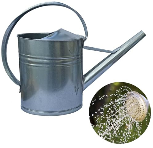 Zinkgießkanne Gießkanne 5L 8L 10L 12L Blumengießkanne Metall feuerverzinkt Zink Silber für Innen- und Außenbereich (12 L)