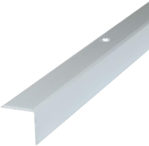 Dalsys Treppenkantenprofil 200cm x 42mm x 20mm Silber Aluminium | Kantenschutzprofil für Treppenstufen, rutschhemmend, Schraubmontage, Trittschutz