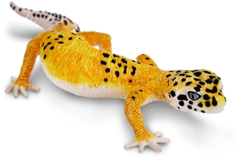 Safari Ltd. Spielzeugfigur Leopard Gecko | Sammlung unglaublicher Kreaturen | ungiftig und BPA-frei | Spielzeugtiere | geeignet für Kinder ab 3 Jahren, Gelb