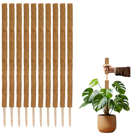 La cordeline Lot 10 Tuteurs Plante Grimpante 120 cm, Support Coco Naturel, Extension tuteur pour Monstera, Jardin, Plante Maison, Marron