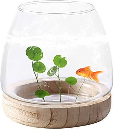 Vasi per pesci piccoli in vetro per acquari Vasi per piante idroponiche trasparenti per decorazioni per l'home office..