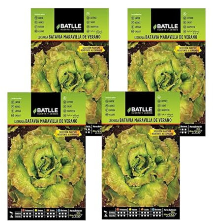 Pack 4 sobres Semillas de lechuga verano Maresme de Semillas Batlle PACK (4)