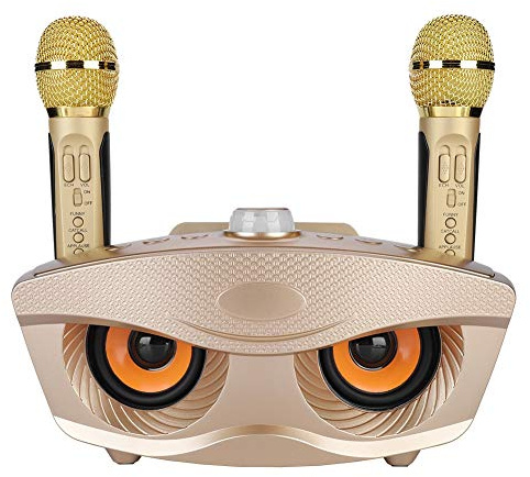 Karaoke Mikrofon, Lautsprecher mit Mikrofon Drahtlose Bluetooth-Verbindung, UnterstüTzt Aux, Tf-Karte und U-Disk, Karaoke Anlage für Familien-Karaoke-Warteschlangen