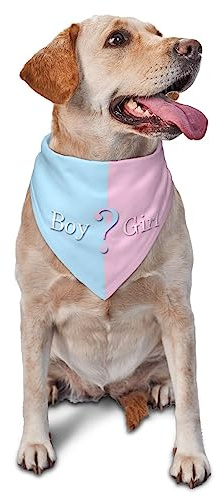 vercosee Hundehalstuch, Motiv: He Or She What Will It Be? Geschlecht offenbaren/Baby Ankündigung, Haustier-Halstuch für Haustiere, Alltag, Foto-Requisite, Partyzubehör (Blau)