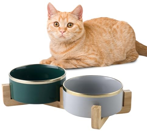Viusneun Keramik Futternapf 2er Set mit Bambusständer - Keramik Hundenapf Katzennapf Fressnapf für Katzen und Hunde, Doppel Hund Futternapf mit goldenen Rändern (Grau/Grün,400ML)
