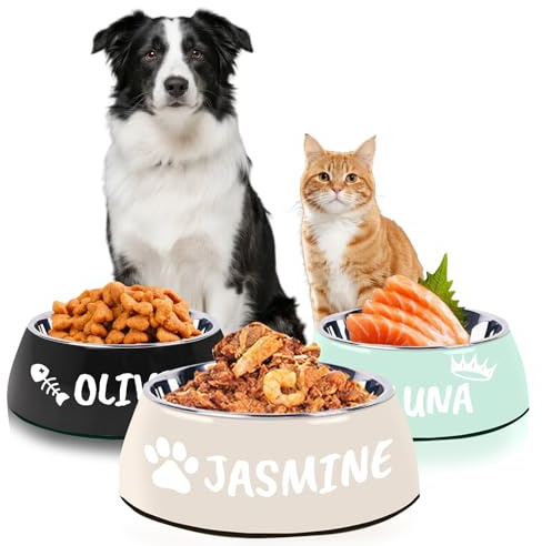 Personalised Dog Bowl with Name Custom Engraved Bowl for Dog & Cat Customized Non-Slip Durable Water Pet Bowls Cute Metal Stainless Steel Dog bowl （S to L）